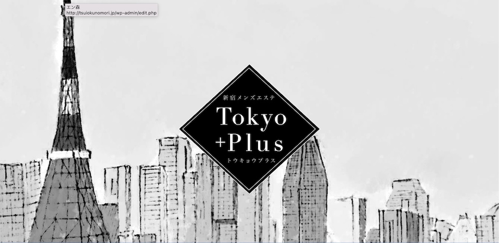 新宿メンズエステ！T-Plus（ティープラス）のお店情報